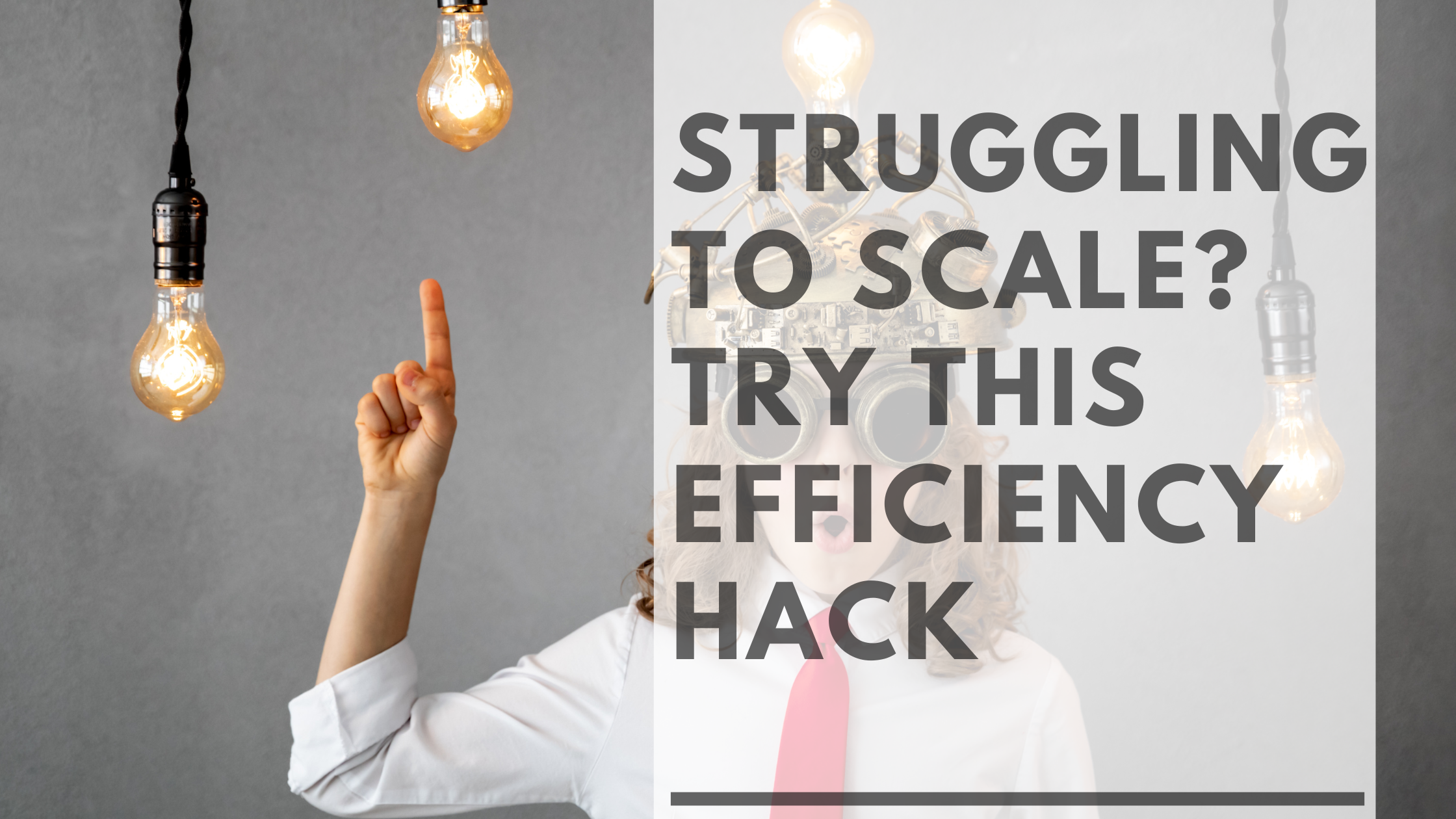 team using SOPs, SOPs for business efficiency, scaling operations with systems, small business process optimization
